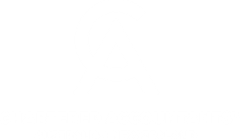 Chartered Accountants Australia and New Zealand